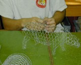 DSCN1001