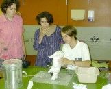 DSCN2004