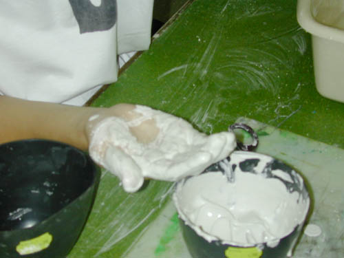 DSCN2005