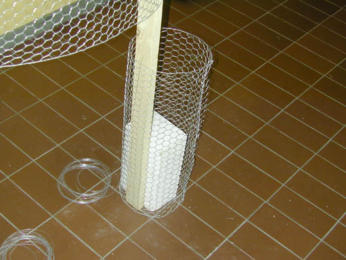 DSCN2010