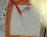 DSCN2023
