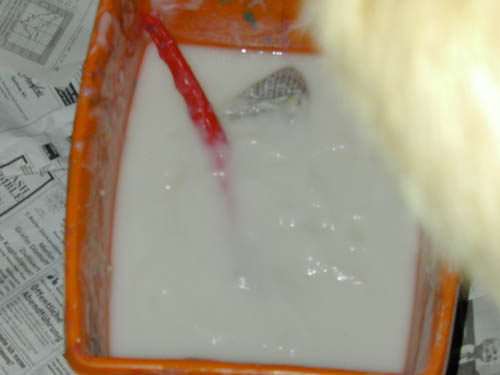 DSCN2023