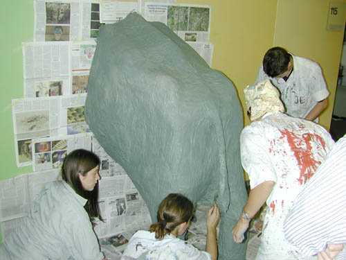 DSCN3005