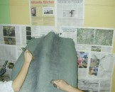 DSCN3054