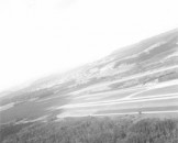 09_waldausluft_medium