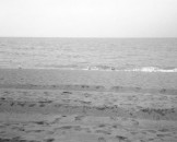 23_strand_medium