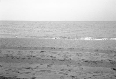 23_strand_medium