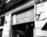 43_osterhase_medium