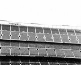 50_stadionrasen_medium