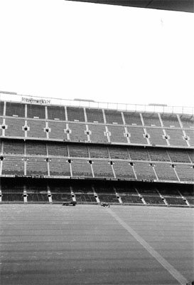 50_stadionrasen_medium