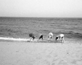 52_grabenimsand_medium