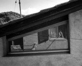 24_senfhaus_medium