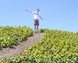 11_blumenkind_big