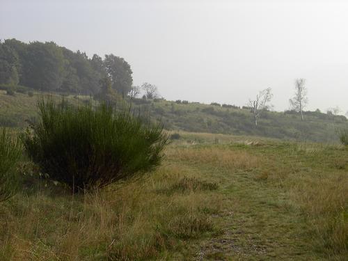 11_steppe_medium
