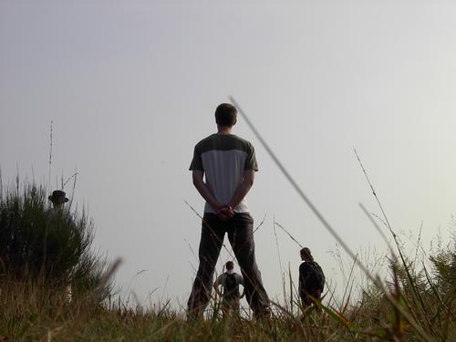 12_graslandschaft_medium