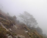 14_nebelweg_medium