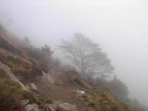 14_nebelweg_medium