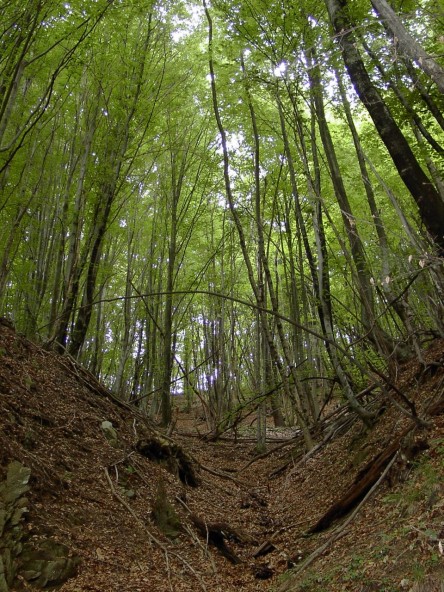 08_wald_big