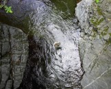 16_stein_faellt_ins_wasser_big
