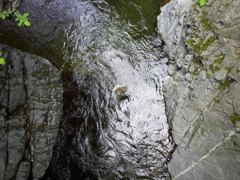 16_stein_faellt_ins_wasser_big