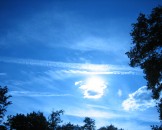 IMG_0180