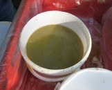 IMG_0196