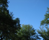 IMG_0321