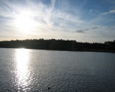 IMG_0339