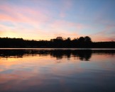 IMG_0429