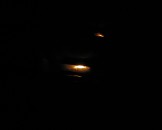 IMG_0446