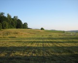 IMG_0691