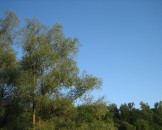 IMG_0692