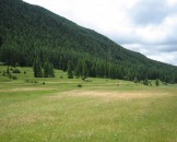 IMG_0960