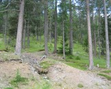 IMG_0975
