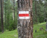 IMG_0976