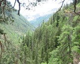 IMG_0977