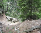 IMG_0978