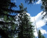 IMG_0984
