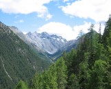 IMG_0987