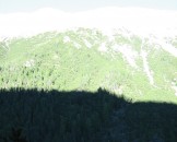 IMG_1002