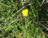 IMG_1030