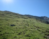 IMG_1033