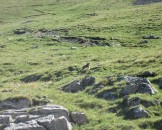 IMG_1037