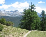 IMG_1066