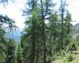 IMG_1069