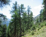 IMG_1070