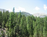 IMG_1081
