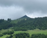 IMG_1109