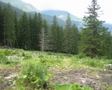 IMG_1122