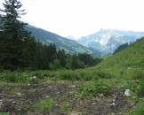 IMG_1123